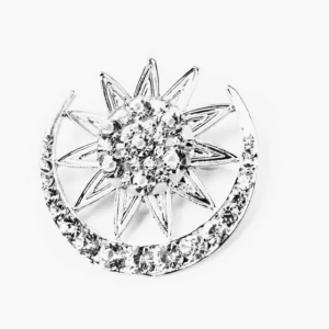 Silver Moon and Star Pin